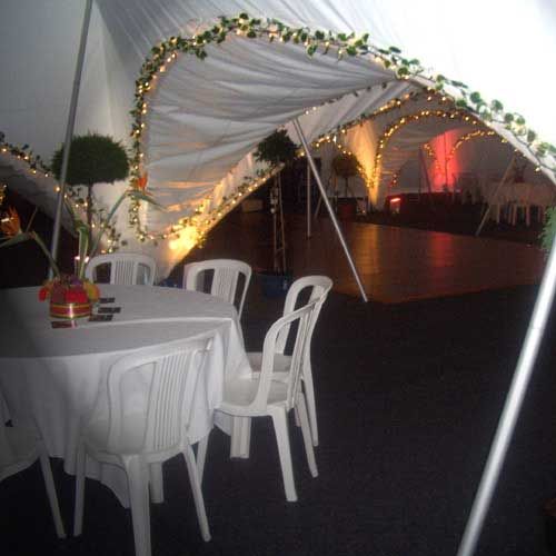Archway Ivy & Lighting Hire