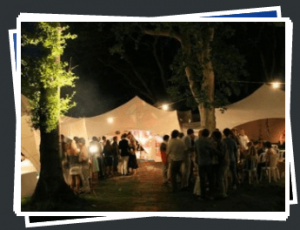 Wedding Marquee Party